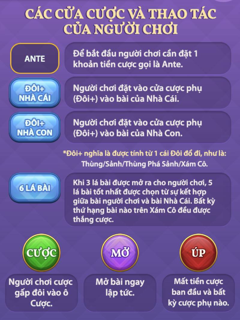 Cách Chơi Teen Patti Chinh Phục Nhà Cái Phút Chóc 4 Cách Đặt Cược Trong Teen Patti